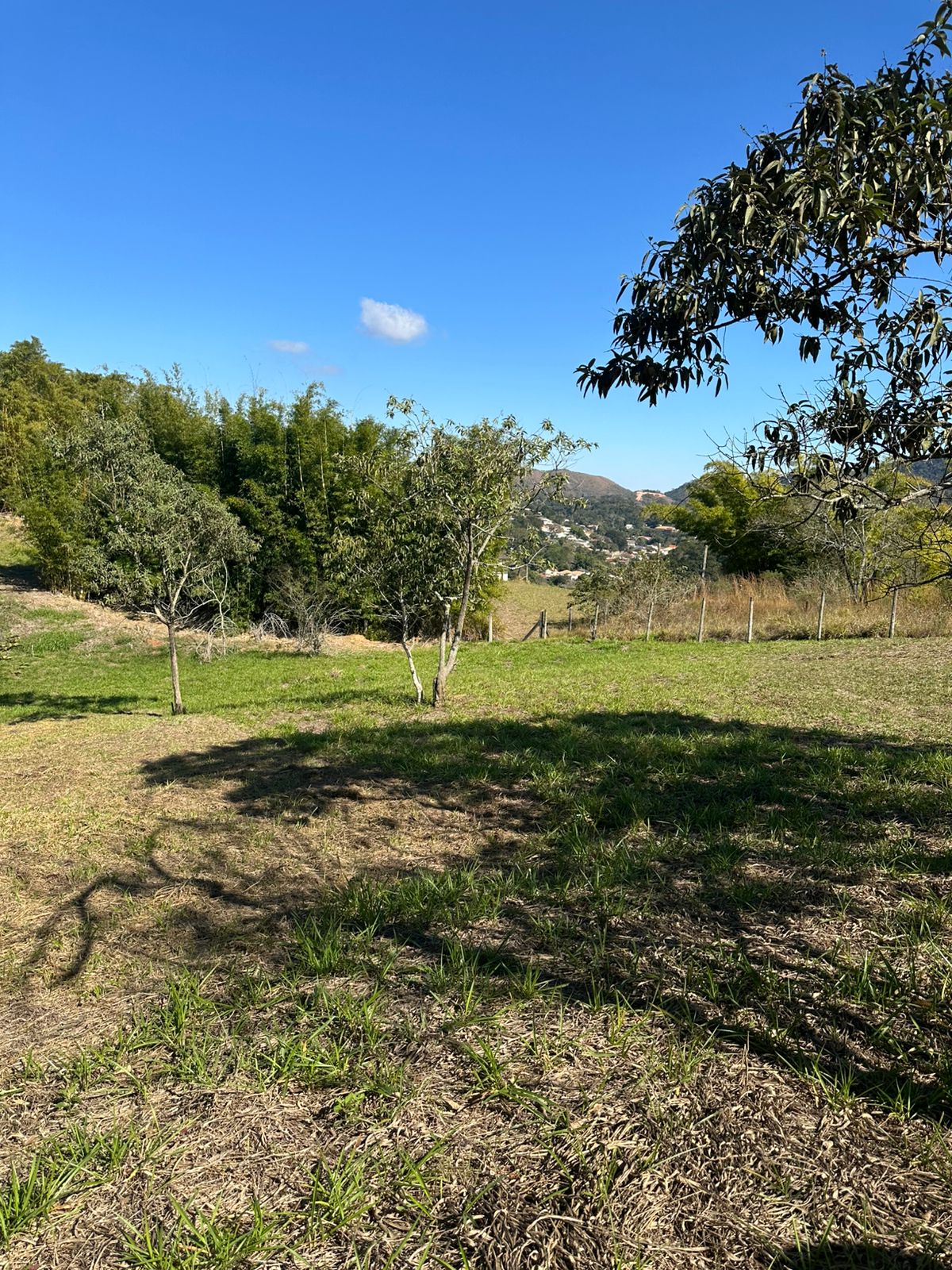 Terreno Plano  Venda em Miguel Pereira