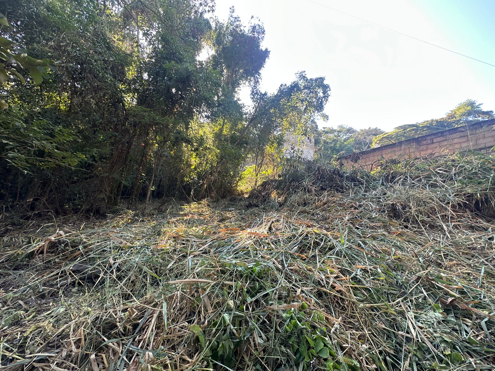 Terreno a venda em Paty do Alferes