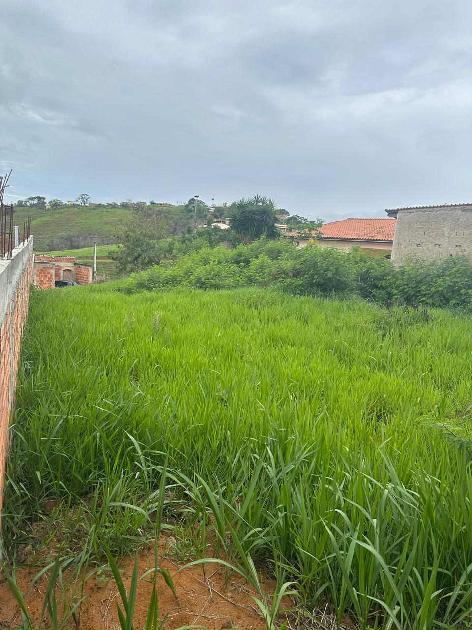 Terreno  Venda em Paty do Alferes