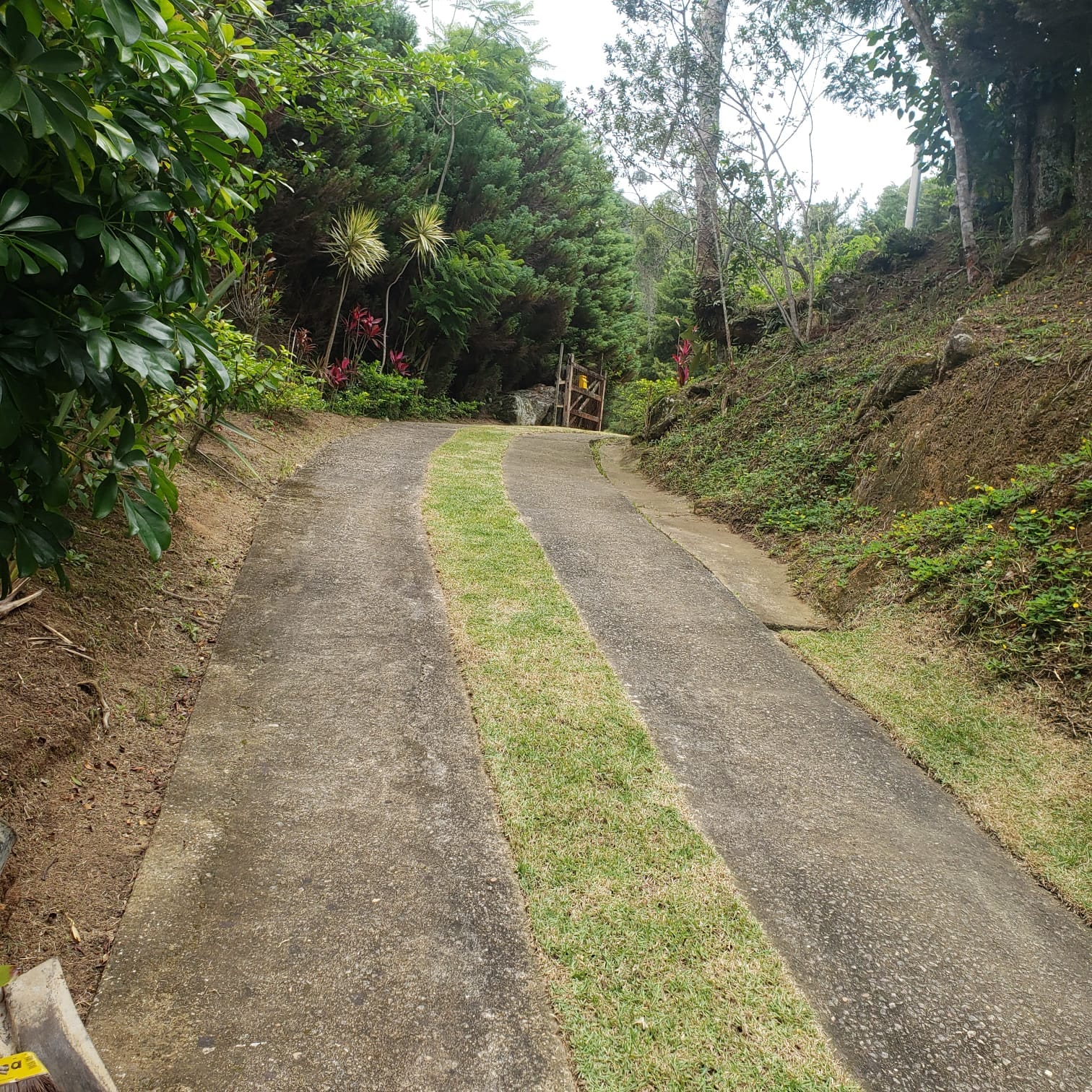 Stio  Venda em Miguel Pereira